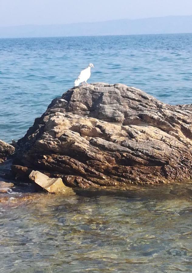 Apartmani Antonia Nakic -Stobrec Split Exteriör bild